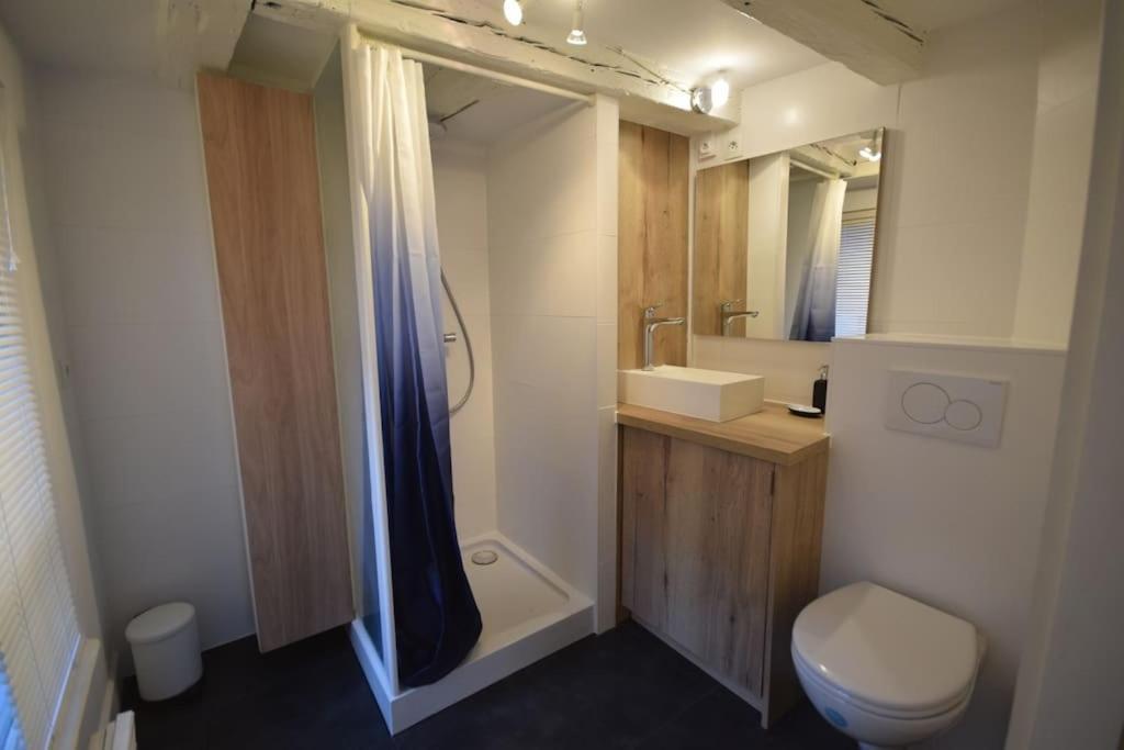 Le Studio Du Quai Des Pecheurs - Charmant Duplex Sur Les Quais ストラスブール エクステリア 写真