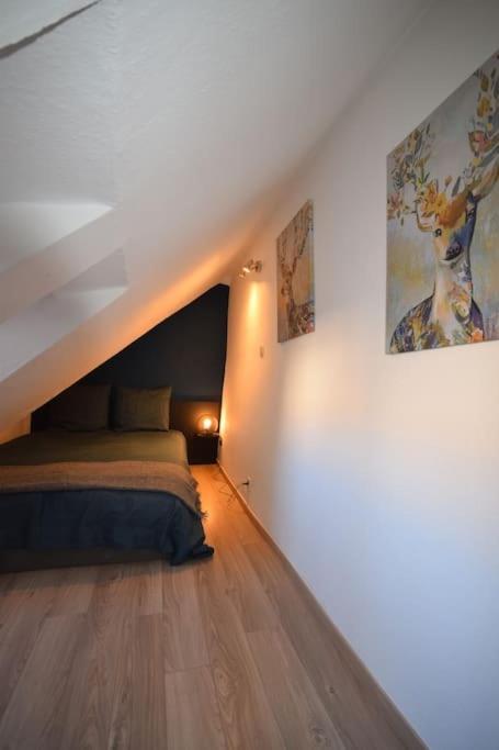 Le Studio Du Quai Des Pecheurs - Charmant Duplex Sur Les Quais ストラスブール エクステリア 写真
