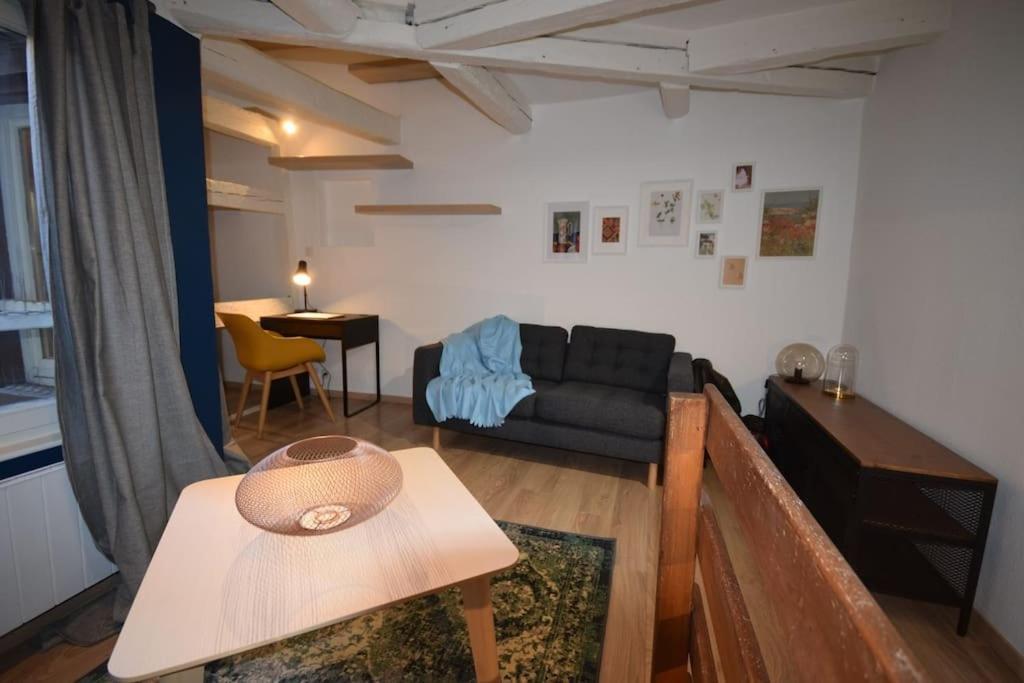 Le Studio Du Quai Des Pecheurs - Charmant Duplex Sur Les Quais ストラスブール エクステリア 写真